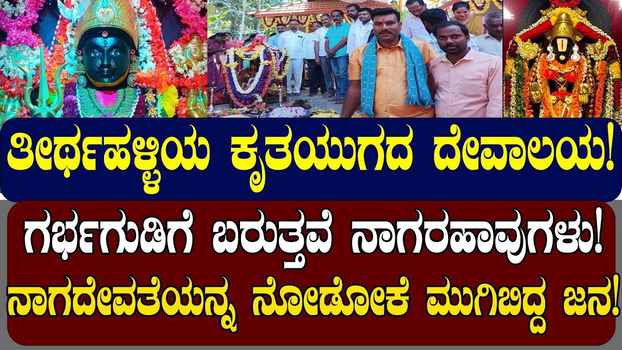 ತೀರ್ಥಹಳ್ಳಿಯ ಕೃತಯುಗದ ದೇವಾಲಯ! ನಾಗಪಾಲಿನಿದೇವಿ ವೆಂಕಟೇಶ್ವರನಾಗಿ ಬದಲಾದ್ಲು! | NAMMA NAMBIKE |