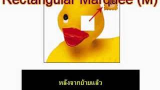 Rectangular Marquee M