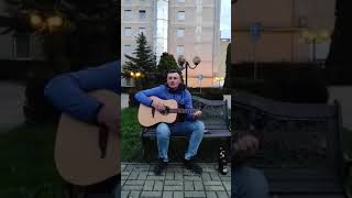 Video thumbnail of "Vulpoi afurisit//cover la chitară//braharu"