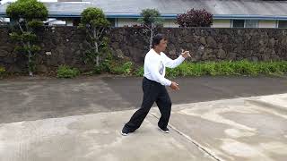 Mililani Tai Chi  Form 37 Set (Front View) Performed by Instructor James Albano.