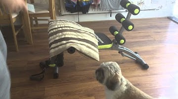 WonderCore 2 Exercise routine video and pros and cons