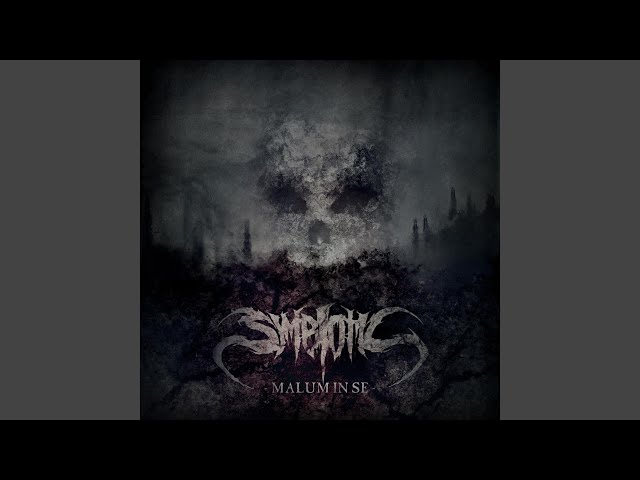 Symbiotic - The Purple Mist Machine