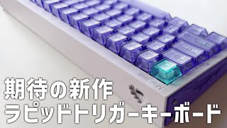 MelGeek REAL67 ラピッドトリガー透明紫キーボード Amazon | MelGeek REAL67 有線キーボード、US英語配列、RGB搭載