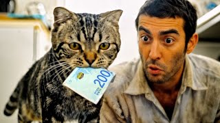 Download Lagu החתול המשיך להביא הביתה שטרות כסף רטובים, אז בעליו החליט לעקוב אחריו ומה שגילה... MP3 Download Lagu החתול המשיך להביא הביתה שטרות כסף רטובים, אז בעליו החליט לעקוב אחריו ומה שגילה... MP3