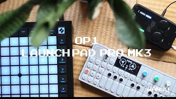 OP1 + Novation Launchpad Pro MK3. The perfect standalone sequencer? #novation #10YOP1 #teoperator