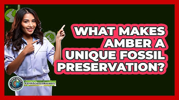 What Makes Amber A Unique Fossil Preservation? - Earth Science Answers