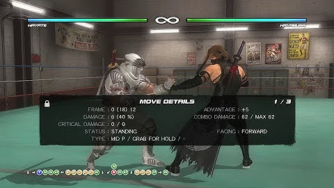 DOA5LR Tech: Hayate 236t wall setup