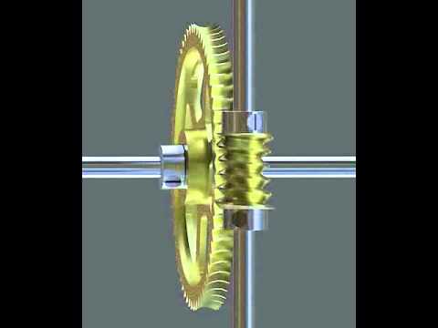 Worm Gear Animation