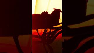 Inside The BackRooms // Got Cooked