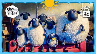 THE FLOCK IS WATCHING THEIR FAVORITE TV SHOWS 📺🍿🐑 | Shaun the Sheep 🐑
