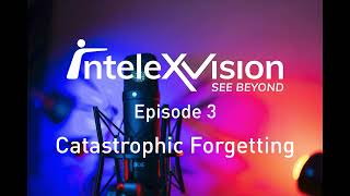 Celebrity IntelexVision podcast E3 - Catastrophic forgetting/interference Wealth