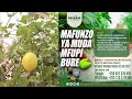 Mafunzo Ya Kilimo Mifugo Na Ujasiriamali Yanaendelea