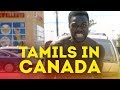 Tamils in canada this is america parody  music