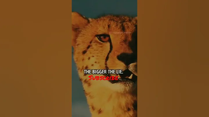 A free and fast tool for Instagram reels video download in HD. With this Instagram reels #shorts