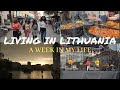 A WEEK IN MY LIFE || Exploring Vilnius, Nigerian party, Live concert and fair