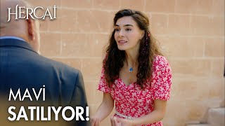 Mavi, Miran Yüzünden Atı Maviden Oldu - Hercai 41. Bölüm