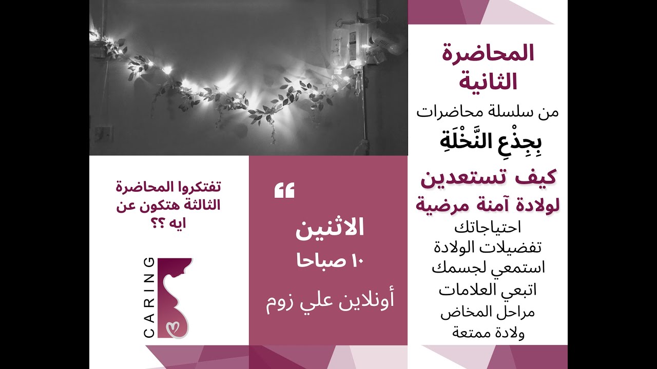 سلسلة محاضرات بجذع النخلة - المحاضرة الثانية