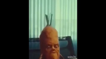 racist carrot