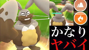 ポケモンホルビーvs ミュウツー