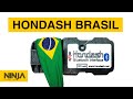 Brasil é o maior comprador de HONDASH do Mundo!