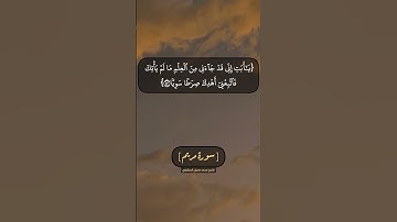 سورة مريم الآية ٤١ الى ٤٤ بصوت الشيخ محمد صديق المنشاوي