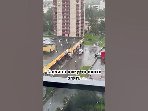Таллинн ! Бар у Палыча - YouTube