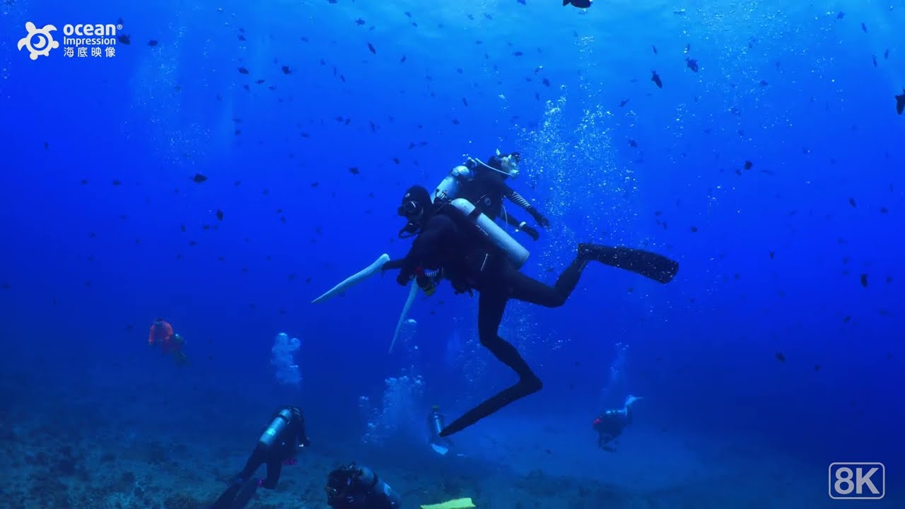 帛琉藍角：世界自然遺產之一的海洋鯊魚保護區