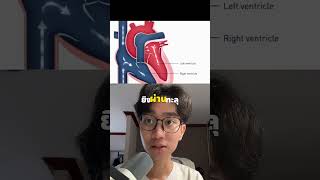 MIT ใช้ 'คลื่นเสียง + ปรับพันธุกรรม'