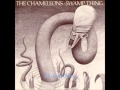 The Chameleons - Swamp Thing - 1986
