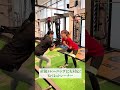 【バルキーフィットネス】バルキーフィットネスの個性豊かで経験豊富なプロトレーナー紹介！ #パーソナルジム #シンガポール #ダイエット #シンガポール