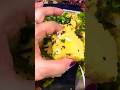 Dhokla | Dhokla recipe |spongy khaman Dhokla | Gujarati Dhokla | perfect nylon Dhokla |