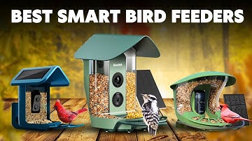 Top 5 Smart Bird Feeders with Cameras (2025) - Ultimate Review