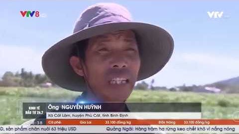 PC Bình Định: mất an toàn lưới điện nông thôn