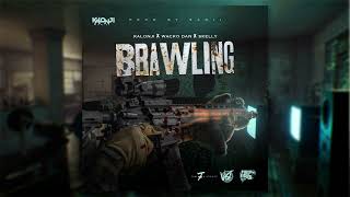 Kalonji x Wacko Dan x Skelly 12k - Brawling