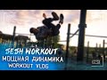 МОЩНАЯ ДИНАМИКА НА ТУРНИКЕ | Новые Элементы | Sesh Workout