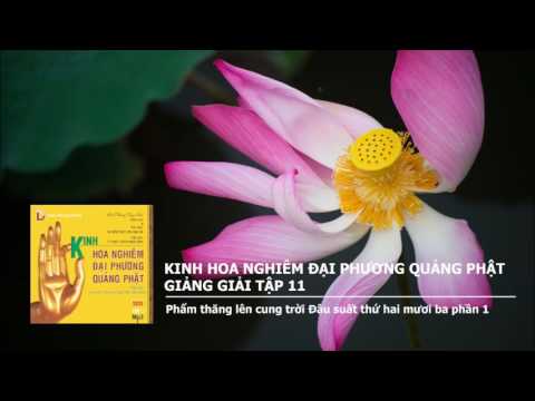 Video Kinh Hoa Nghiêm Đại Phương Quảng Giảng Giải Tập 11 -... - youtube