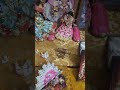 gopal Sona sayàn hare Krishna comment subscribe ! গোপাল শোনা শয়নে দৱশন কৱুন বনধুৱা হৱেকৃশন !