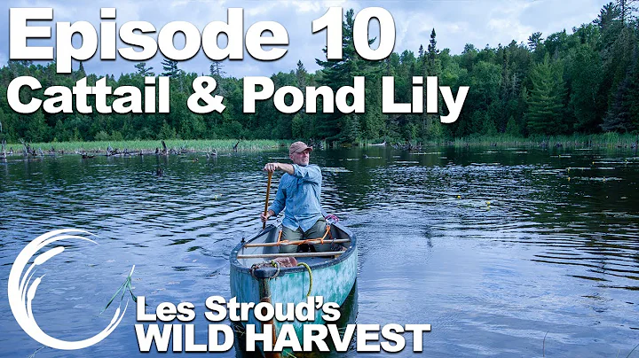 Survivorman | Les Stroud's Wild Harvest | Season 1...