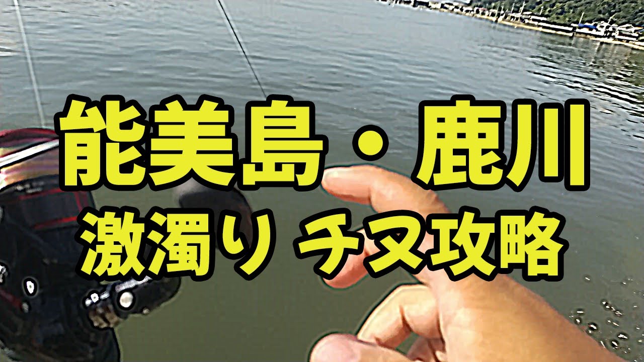 フカセ釣り】ダイワ 19シグナスのインプレ｜19CYGNUS 2500H-LBD｜23年