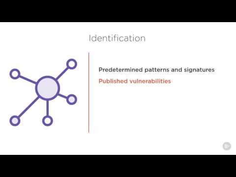 13   Security Control Effectiveness Testing   Identification