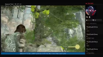 SHADOW OF THE COLOSSUS SPEEDRUN + NO DEATH(hard mode)  I HATE SONY