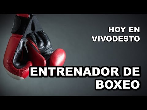 Video: Cómo Convertirse En Entrenador De Boxeo