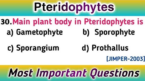 Pteridophytes MCQ | Plant Kingdom MCQ for NEET | Biology MCQ Questions