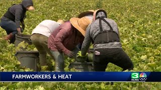 CDC: Farmworkers die 20 times more than other workers from extreme heat
