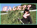 【草集め】草刈機で大量に刈った草を集める楽な道具紹介!!熊手よりも便利で楽に大量に!!#稲屋の田舎チャンネル
