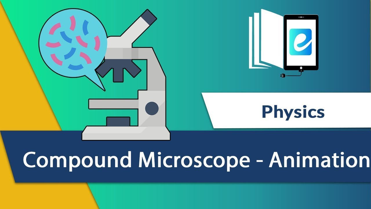 Microscope Analysis Animation Understanding the Compound Microscope Animated : Construction ...