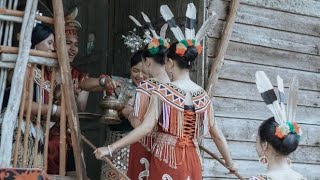 Maya Ari Gawai - Pani