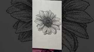 Sunflower #WordArt 🌻 #sunflower #micrography #flower #artist #xyz