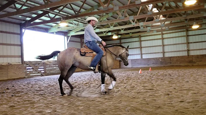 Mark Shaffer rides Audrey September 2018 #2