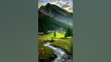 سورة الانبياء (وَأَدْخَلْنَاهُمْ فِي رَحْمَتِنَا ۖ إِنَّهُمْ مِنَ الصَّالِحِينَ * وَذَا النُّونِ